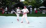 Thumbnail (gal/Iaido/Demonstrations/Karate_pour_Communite_2003/_thb_dsc00666.jpg)